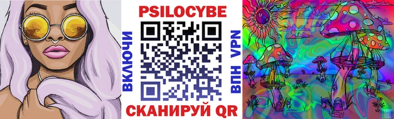 Купить закладки  Лагань  Галлюциногенные грибы Psilocybine cubensis 